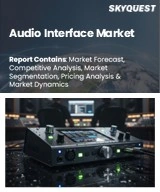 Audio Interface Market
