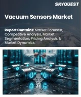 Vacuum Sensors Market