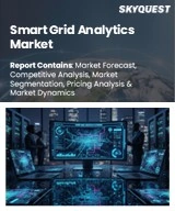 Smart Grid Analytics Market