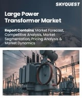 Large Power Transformer Market