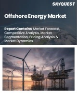 Offshore Energy Market