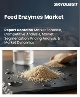 Global Feed Enzymes Market