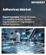 Adhesives Market