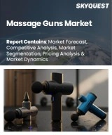Global Massage Guns Market