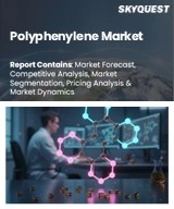 Global Polyphenylene Market