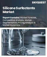Global Silicone Surfactants Market
