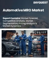 Global Automotive MRO Market