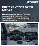 Highway Driving Assist Market