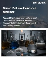 Basic Petrochemical Market
