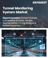 Tunnel Monitoring System Market
