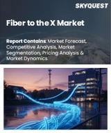 Fiber to the X Market