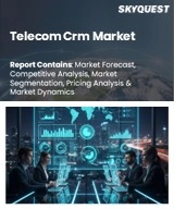 Telecom CRM Market