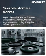Global Fluoroelastomers Market