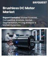 Global Brushless DC Motor Market