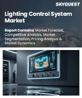 Lighting Control System Market