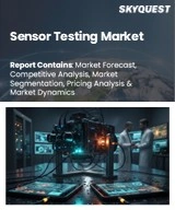 Global Sensor Testing Market