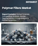 Polymer Fillers Market