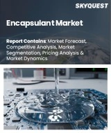Global Encapsulant Market
