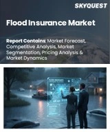 Flood Insurance Market