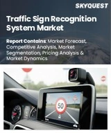 Global Traffic Sign Recognition Market