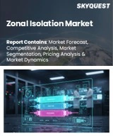 Global Zonal Isolation Market