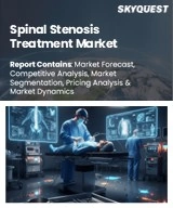 Global Spinal Stenosis Treatment Market