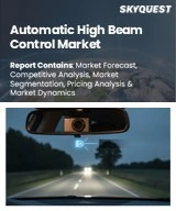 Global Automatic High Beam Control Market