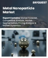 Metal Nanoparticle Market