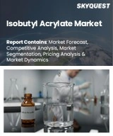 Isobutyl Acrylate Market