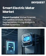 Global Smart Electric Meter Market