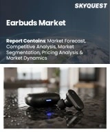 Global Earbuds Market