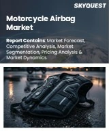 Global Motorcycle Airbag Market