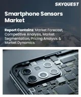 Smartphone Sensors Market