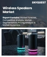 Global Wireless Speakers Market