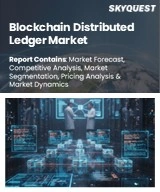 Blockchain Distributed Ledger Market