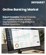 Global Online Banking Market