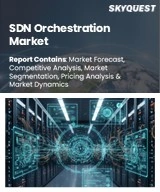 SDN Orchestration Market