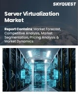 Server Virtualization Market