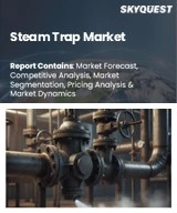 Steam Trap Market