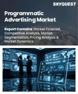 Global Programmatic Advertising Market