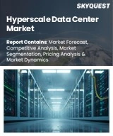 Global Hyperscale Data Center Market