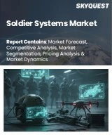 Global Soldier Systems Market