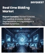 Real time Bidding Market
