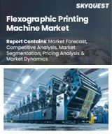 Global Flexographic Printing Machine Market