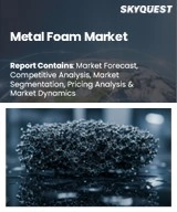 Global Metal Foam Market