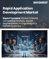 Global Rapid Application Development Market