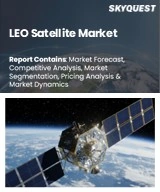 Global LEO Satellite Market