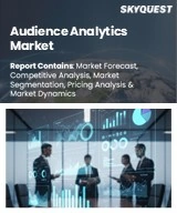 Global Audience Analytics Market