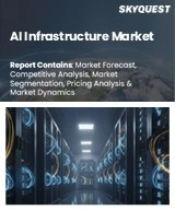 Global AI Infrastructure Market