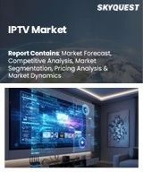 Global IPTV Market